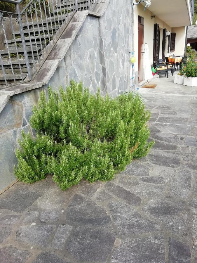 Villa Banfi Lavena Ponte Tresa Eksteriør billede