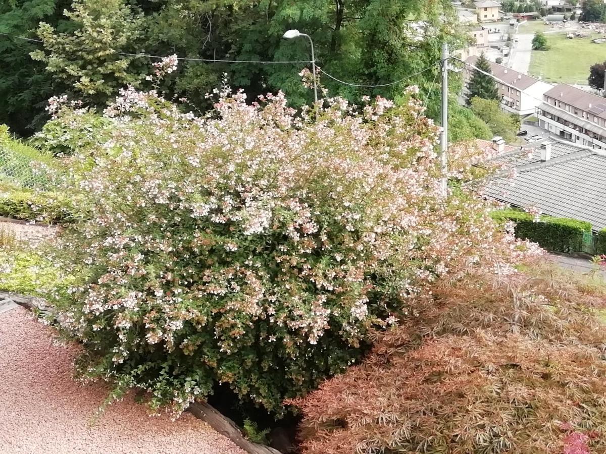 Villa Banfi Lavena Ponte Tresa Eksteriør billede