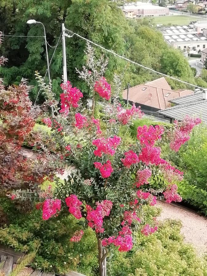 Villa Banfi Lavena Ponte Tresa Eksteriør billede