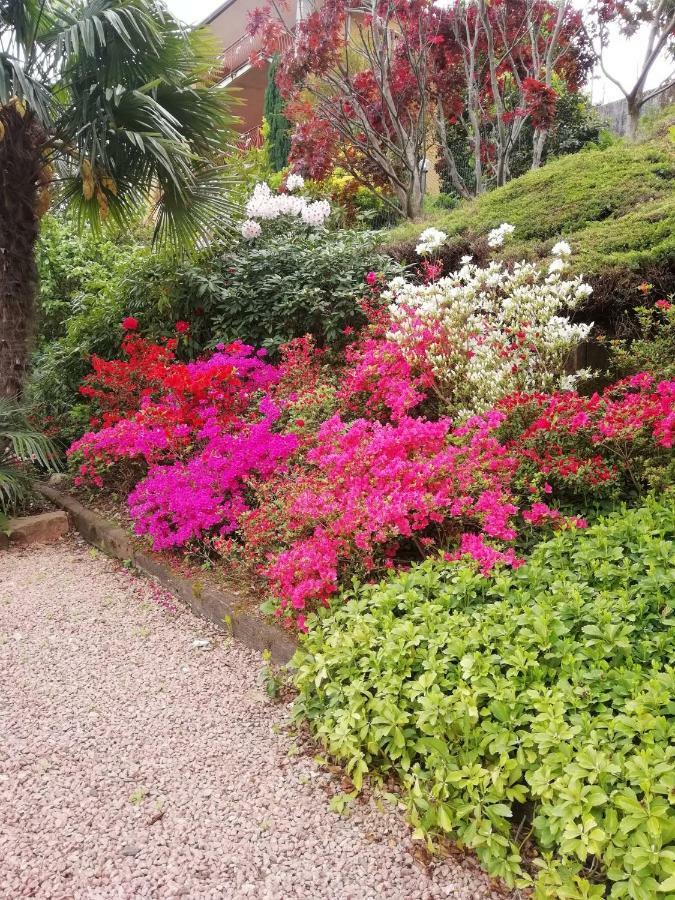 Villa Banfi Lavena Ponte Tresa Eksteriør billede