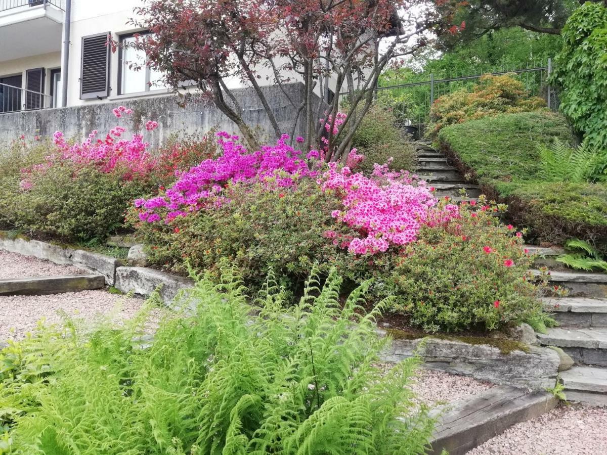 Villa Banfi Lavena Ponte Tresa Eksteriør billede